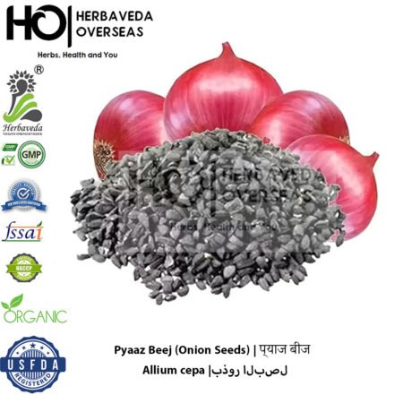 Pyaaz Beej (Onion Seeds) | प्याज बीज | Allium cepa