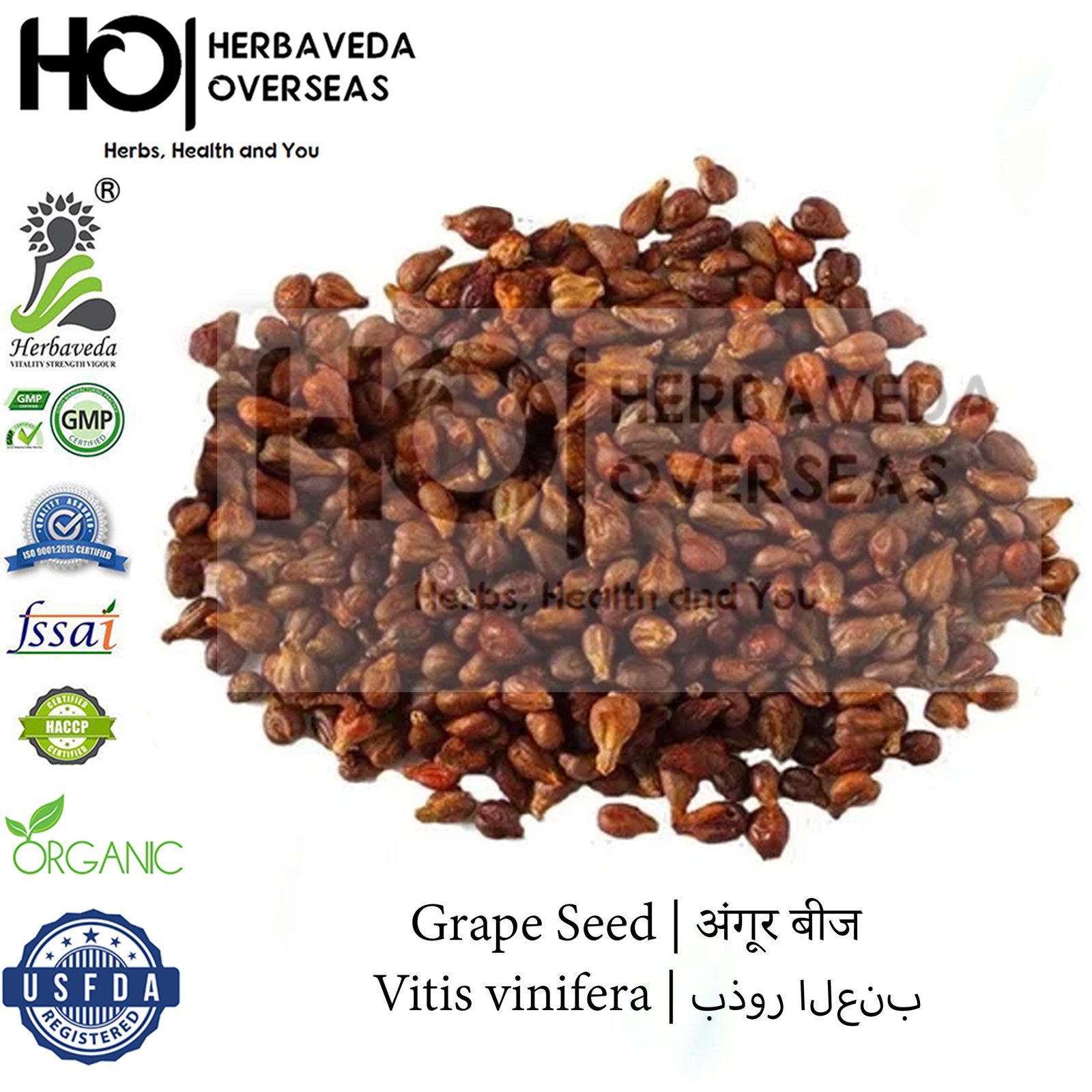 Grape Seed | अंगूर बीज | Vitis vinifera