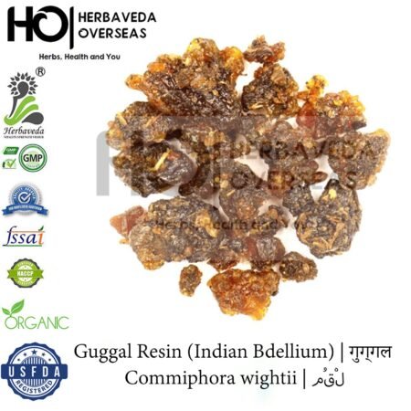 Guggal Resin (Indian Bdellium) | गुग्गल | Commiphora wightii