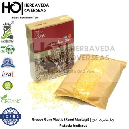 Greece Gum Mastic (Rumi Mastagi) | روم مستقی | Pistacia lentiscus
