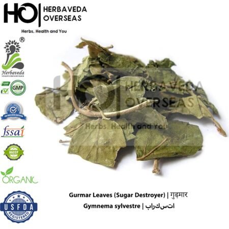 Gurmar Leaves (Sugar Destroyer) | गुड़मार | Gymnema sylvestre
