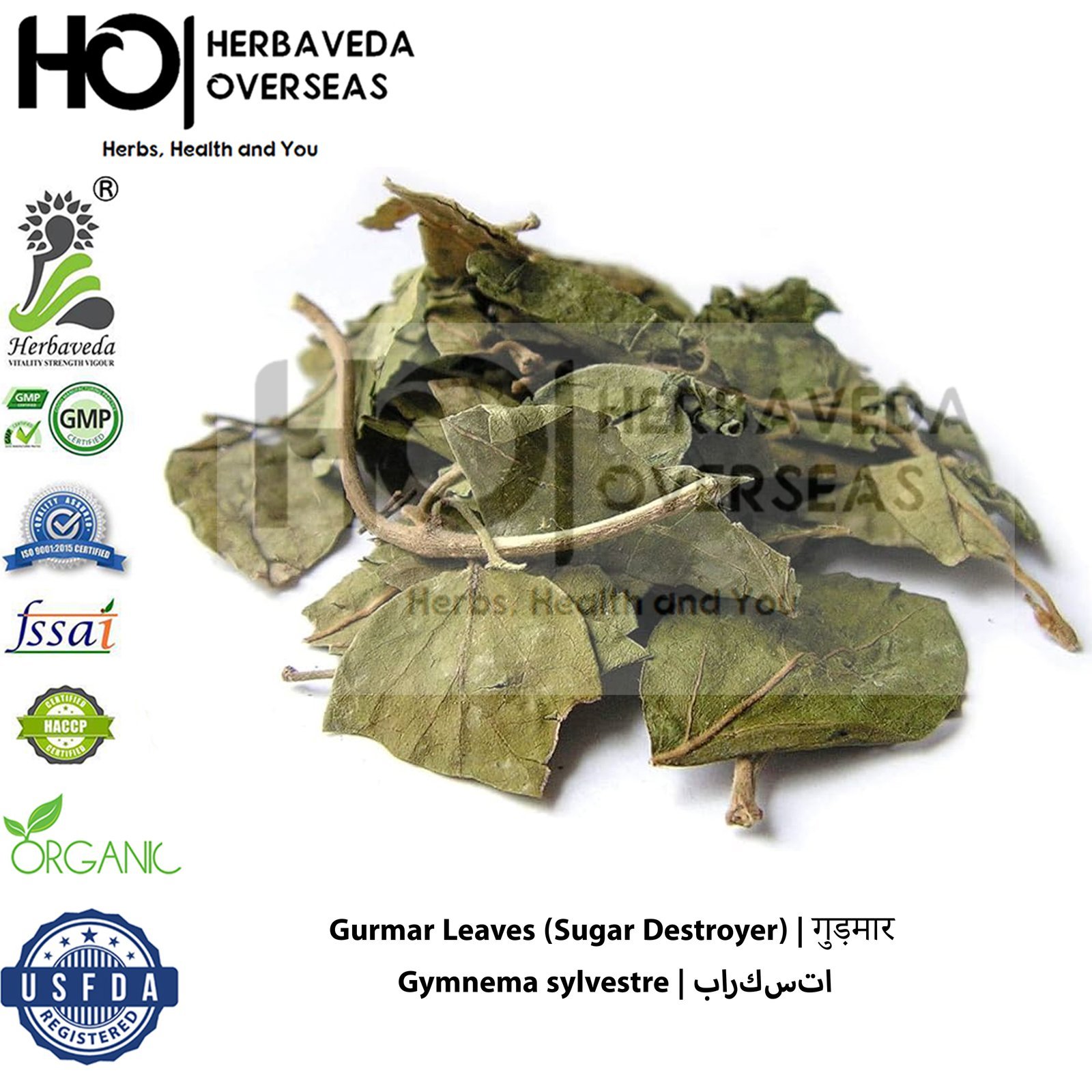 Gurmar Leaves (Sugar Destroyer) | गुड़मार | Gymnema sylvestre