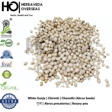 White Gunja | Chirmiti | Chanothi (Abrus Seeds) | गुंजा | Abrus precatorius