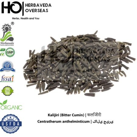 Kalijiri (Bitter Cumin) | कलिजीरी | Centratherum anthelminticum