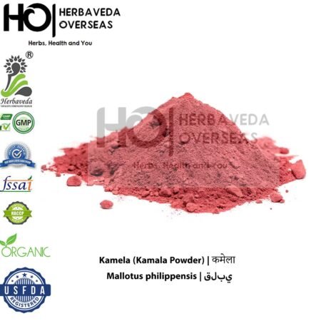 Kamela (Kamala Powder) | कमेला | Mallotus philippensis