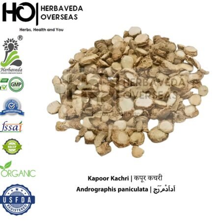 Kapoor Kachri | कपूर कचरी | Andrographis paniculata