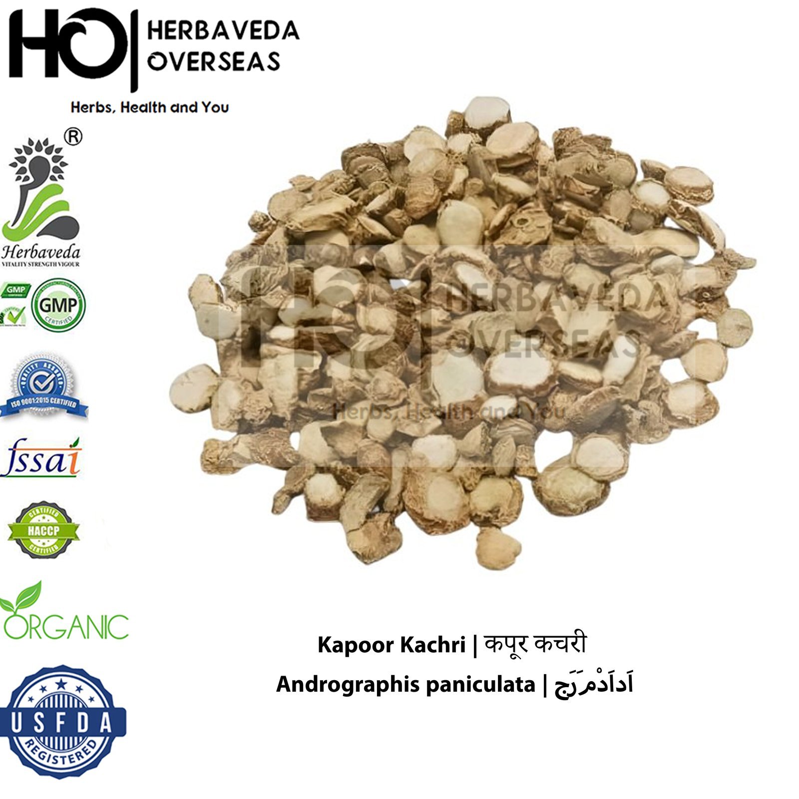 Kapoor Kachri | कपूर कचरी | Andrographis paniculata