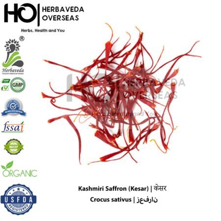 Kashmiri Saffron (Kesar) | केसर | Crocus sativus