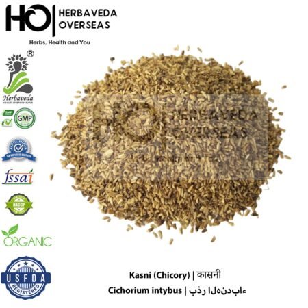 Kasni Seeds (Chicory Seeds) | कासनी बीज | Cichorium intybus