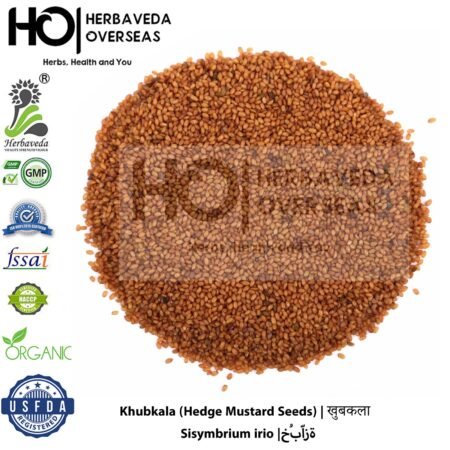 Khubkala (Hedge Mustard Seeds) | खुबकला | Sisymbrium irio