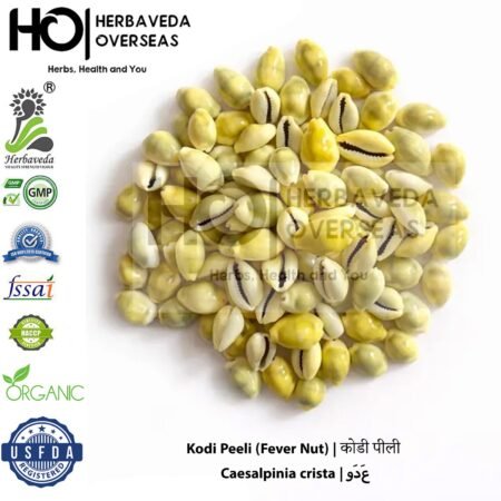 Kodi Peeli (Fever Nut) | कोडी पीली | Caesalpinia crista