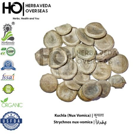 Kuchla (Nux Vomica) | कुचला | Strychnos nux-vomica
