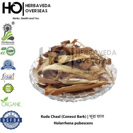 Kuda Chaal (Conessi Bark) | कूड़ा छाल | Holarrhena pubescens