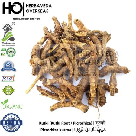 Kutki (Kutki Root / Picrorhiza) | कुटकी | Picrorhiza kurroa