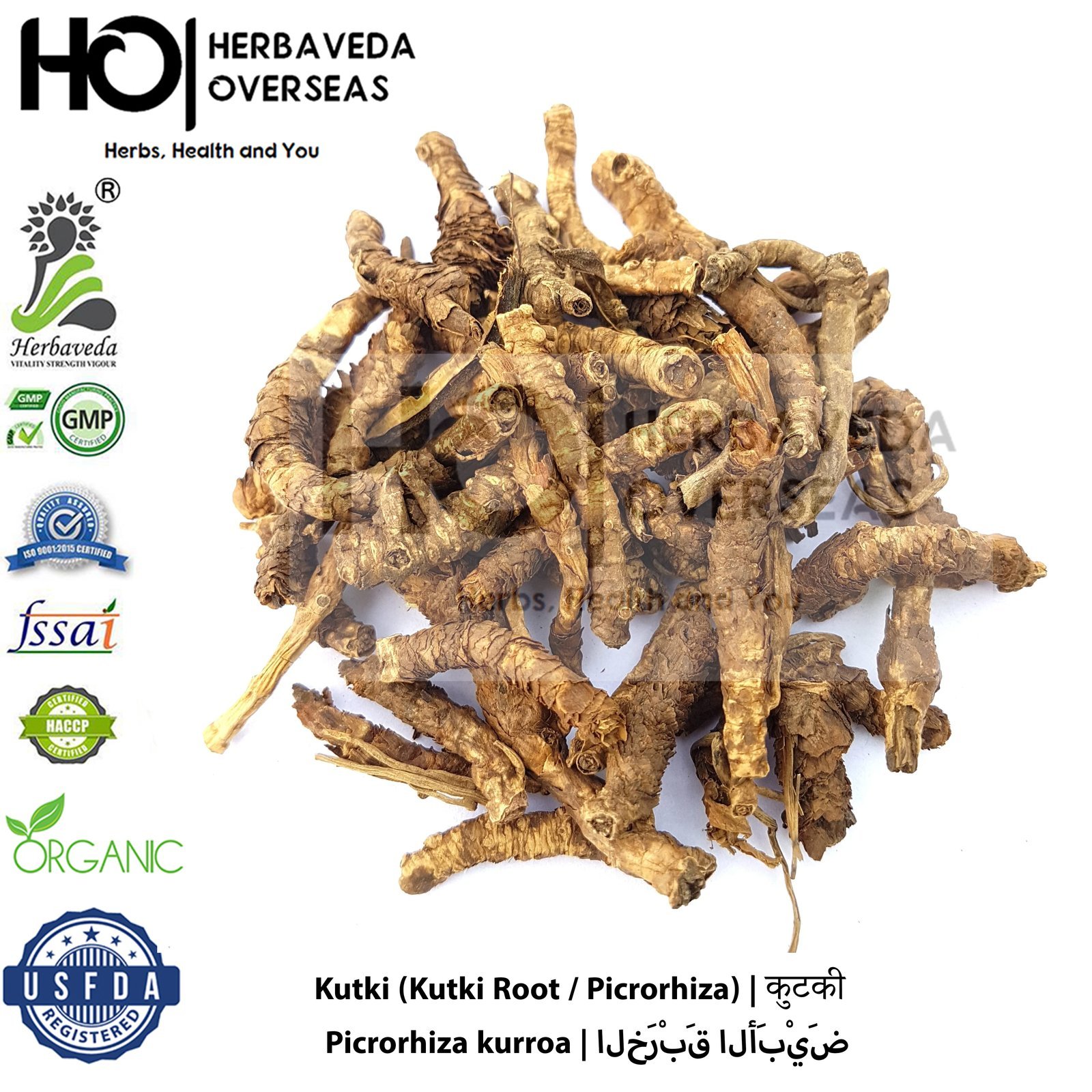 Kutki (Kutki Root / Picrorhiza) | कुटकी | Picrorhiza kurroa