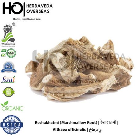Reshakhatmi (Marshmallow Root) | रेशाखतमी | Althaea officinalis