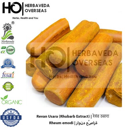 Revan Usara (Indian Rhubarb Extract) | रेवंड उसारा | Rheum emodi