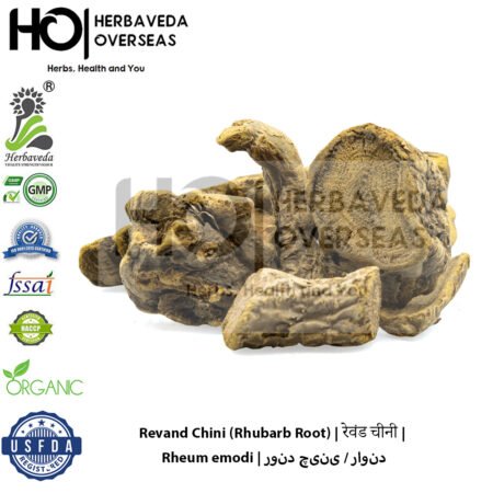 Revand Chini (Indian Rhubarb Root) | रेवंड चीनी | Rheum emodi