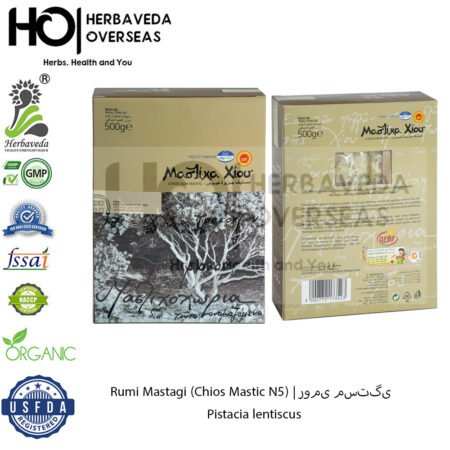 Rumi Mastagi (Chios Mastic N5) | رومی مستگی | Pistacia lentiscus