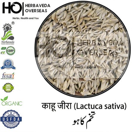 Safed Jeera (White Cumin) | सफेद जीरा | Cuminum cyminum
