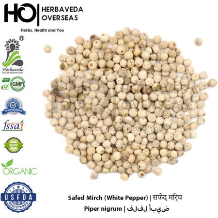 Safed Mirch (White Pepper) | सफेद मिर्च | Piper nigrum