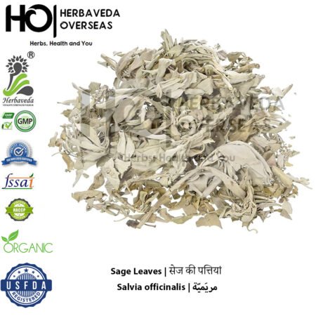 Sage Leaves| सेज की पत्तियां | Salvia officinalis