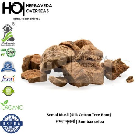 Semal Musli (Silk Cotton Tree Root) | सेमल मूसली | Bombax ceiba