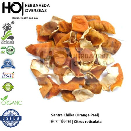 Santra Chilka (Orange Peel) | संतरा छिलका | Citrus reticulata