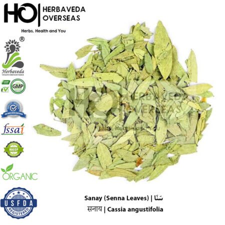 Sanay (Senna Leaves) | सनाय | Cassia angustifolia