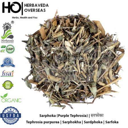 Sarphoka (Purple Tephrosia) | सरफोका | Tephrosia purpurea