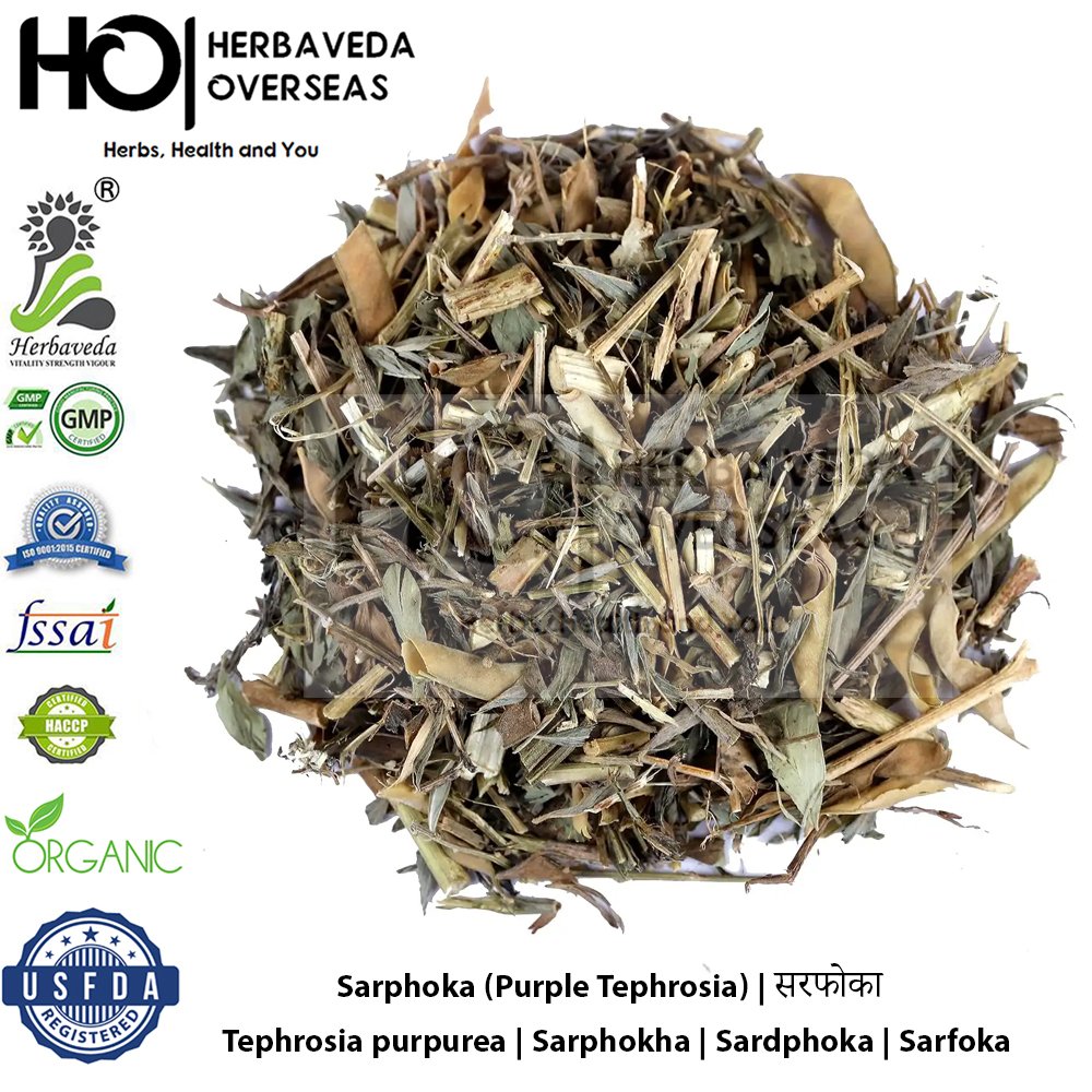 Sarphoka (Purple Tephrosia) | सरफोका | Tephrosia purpurea