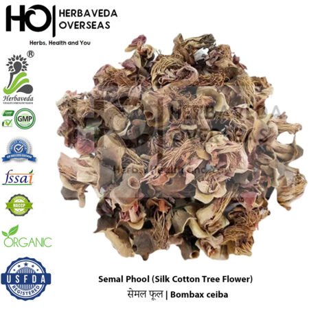 Semal Phool (Silk Cotton Tree Flower) | सेमल फूल | Bombax ceiba
