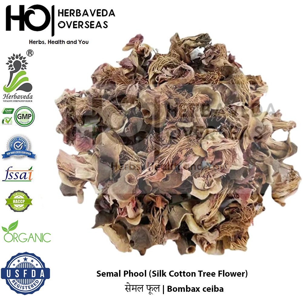 Semal Phool (Silk Cotton Tree Flower) | सेमल फूल | Bombax ceiba
