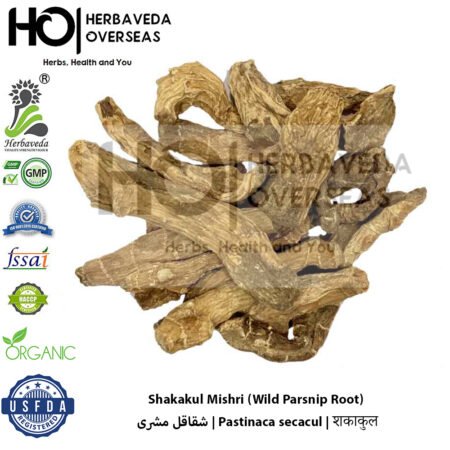 Shakakul Mishri (Wild Parsnip Root) | شقاقل مشری | Pastinaca secacul