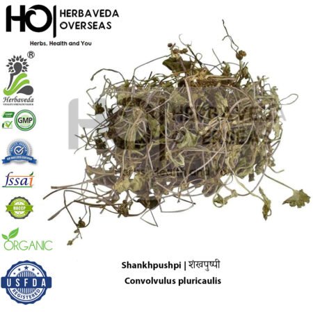 Shankhpushpi | शंखपुष्पी | Convolvulus pluricaulis