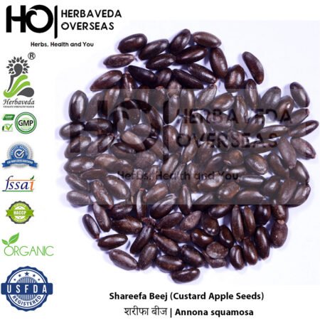 Shareefa Beej (Custard Apple Seeds) | शरीफा बीज | Annona squamosa