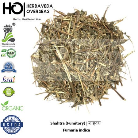 Shahtra (Fumitory) | शाहतरा | Fumaria indica
