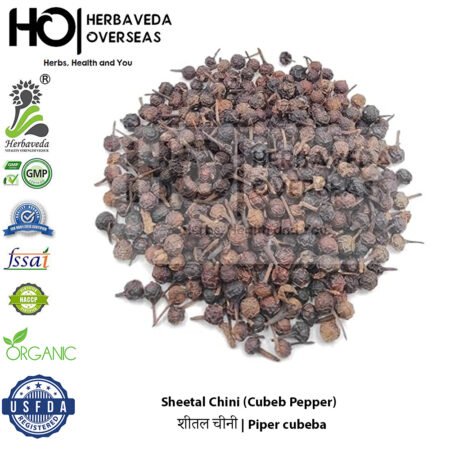 Sheetal Chini (Cubeb Pepper) | शीतल चीनी | Piper cubeba