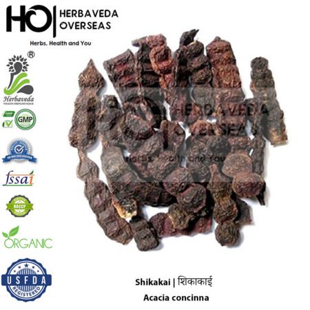 Shikakai | शिकाकाई | Acacia concinna