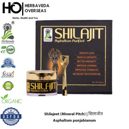 Shilajeet (Mineral Pitch) | शिलाजीत | Asphaltum punjabianum