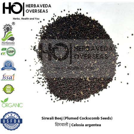 Sirwali (Plumed Cockscomb Seeds) | सिरवाली | Celosia argentea