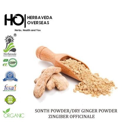 Sonth Powder (Dry Ginger) | सोंठ | Zingiber officinale