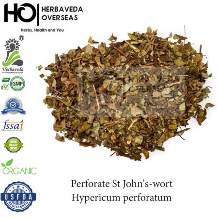 St. John's Wort | सेंट जॉन्स वॉर्ट | Hypericum perforatum