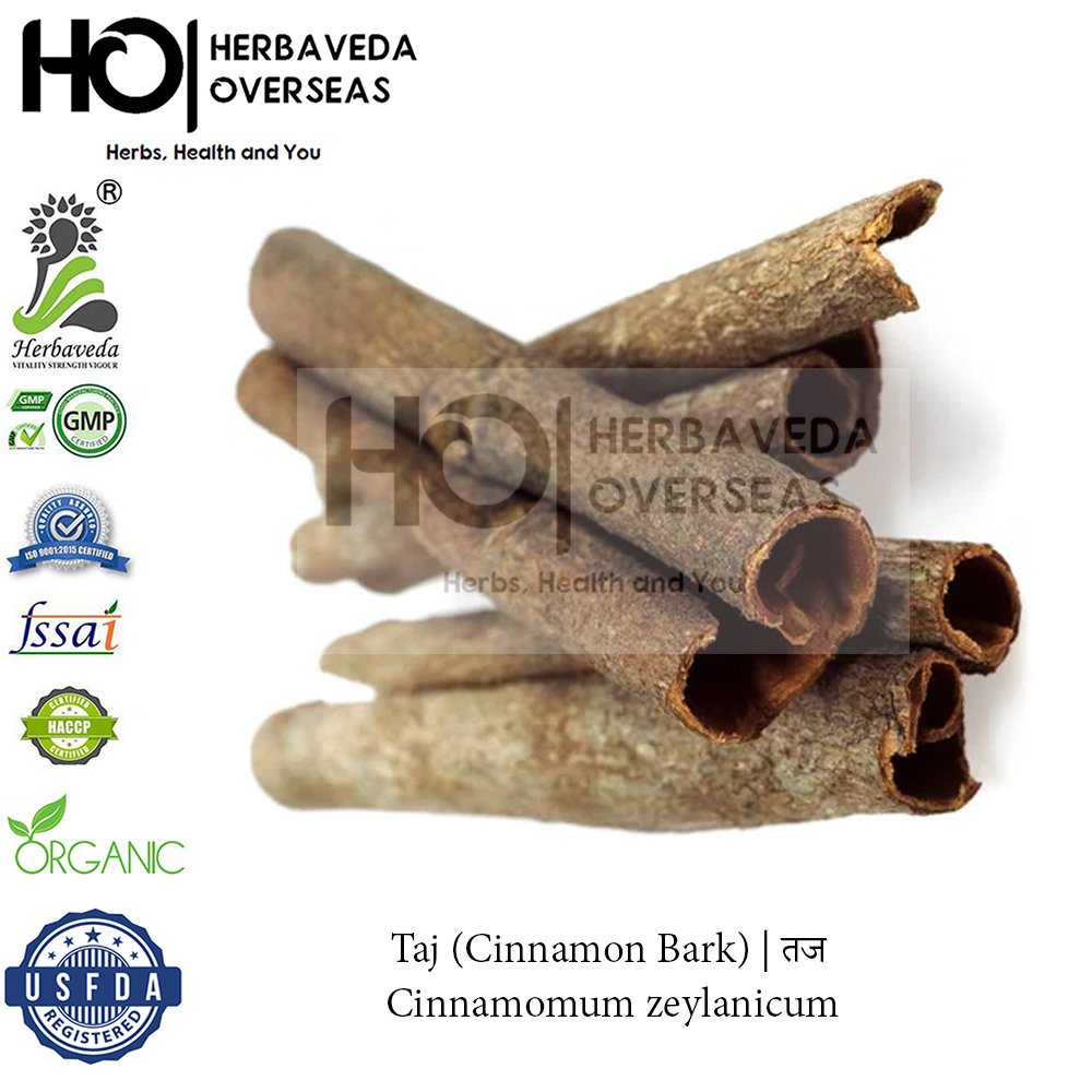 Taj (Cinnamon Bark) | तज | Cinnamomum zeylanicum