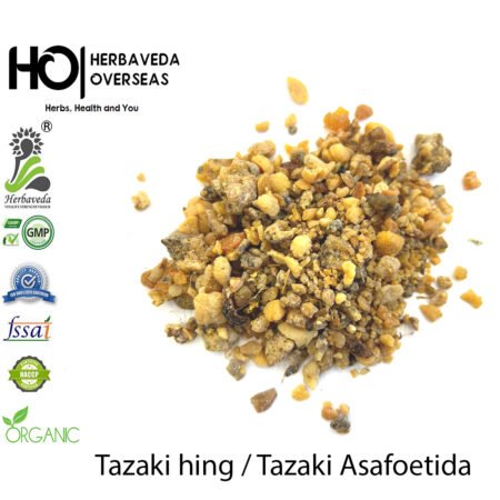 Tazaki Hing (Asafoetida Resin) | تازه هینگ | Ferula assa-foetida