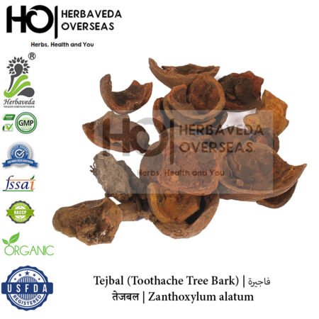 Tejbal (Toothache Tree Bark) | तेजबल | Zanthoxylum alatum