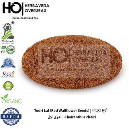 Todri Lal (Red Wallflower Seeds) | तोदरी सुर्ख | تدری لال | Cheiranthus cheiri