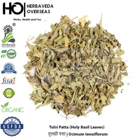 Tulsi Patta (Holy Basil Leaves) | तुलसी पत्ता | Ocimum tenuiflorum