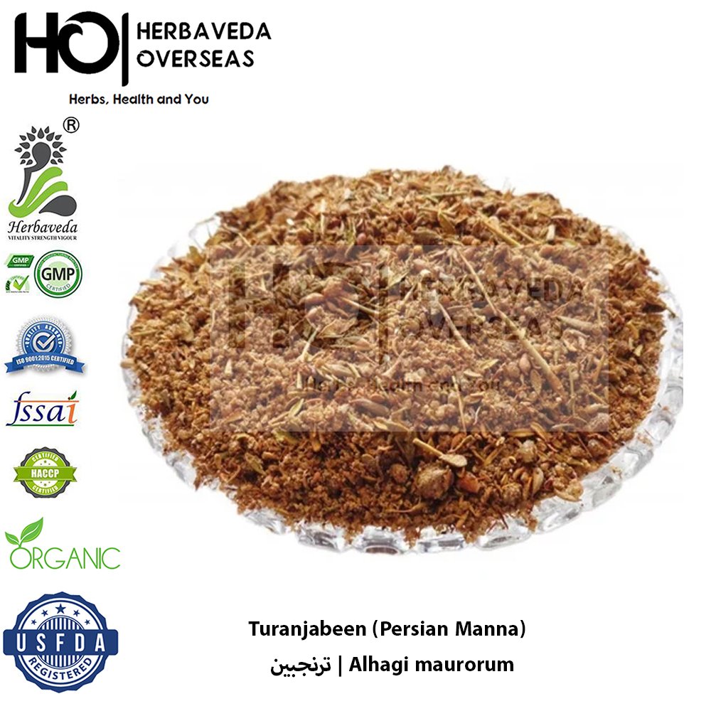 Turanjabeen (Persian Manna) | ترنجبین | Alhagi maurorum