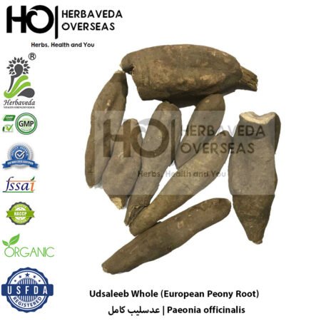 Udsaleeb Whole (European Peony Root) | عدسليب کامل | Paeonia officinalis
